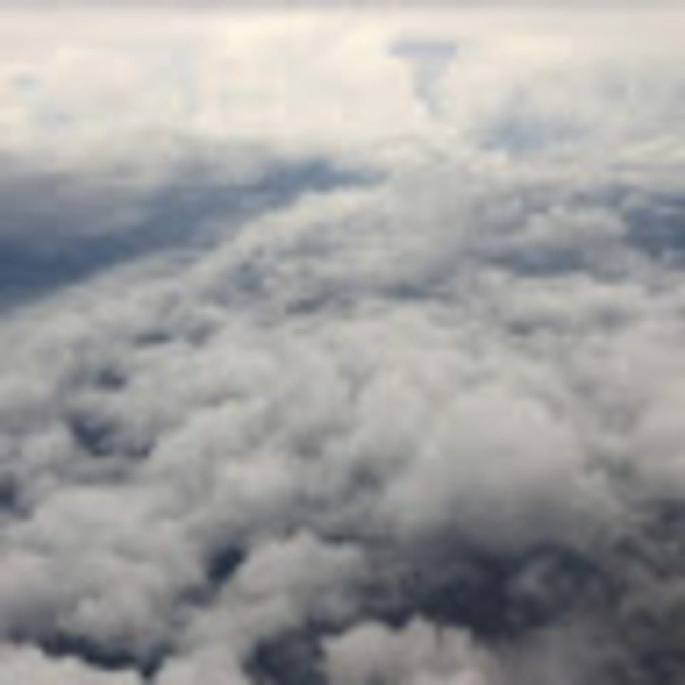 Meet your Posher, Ava